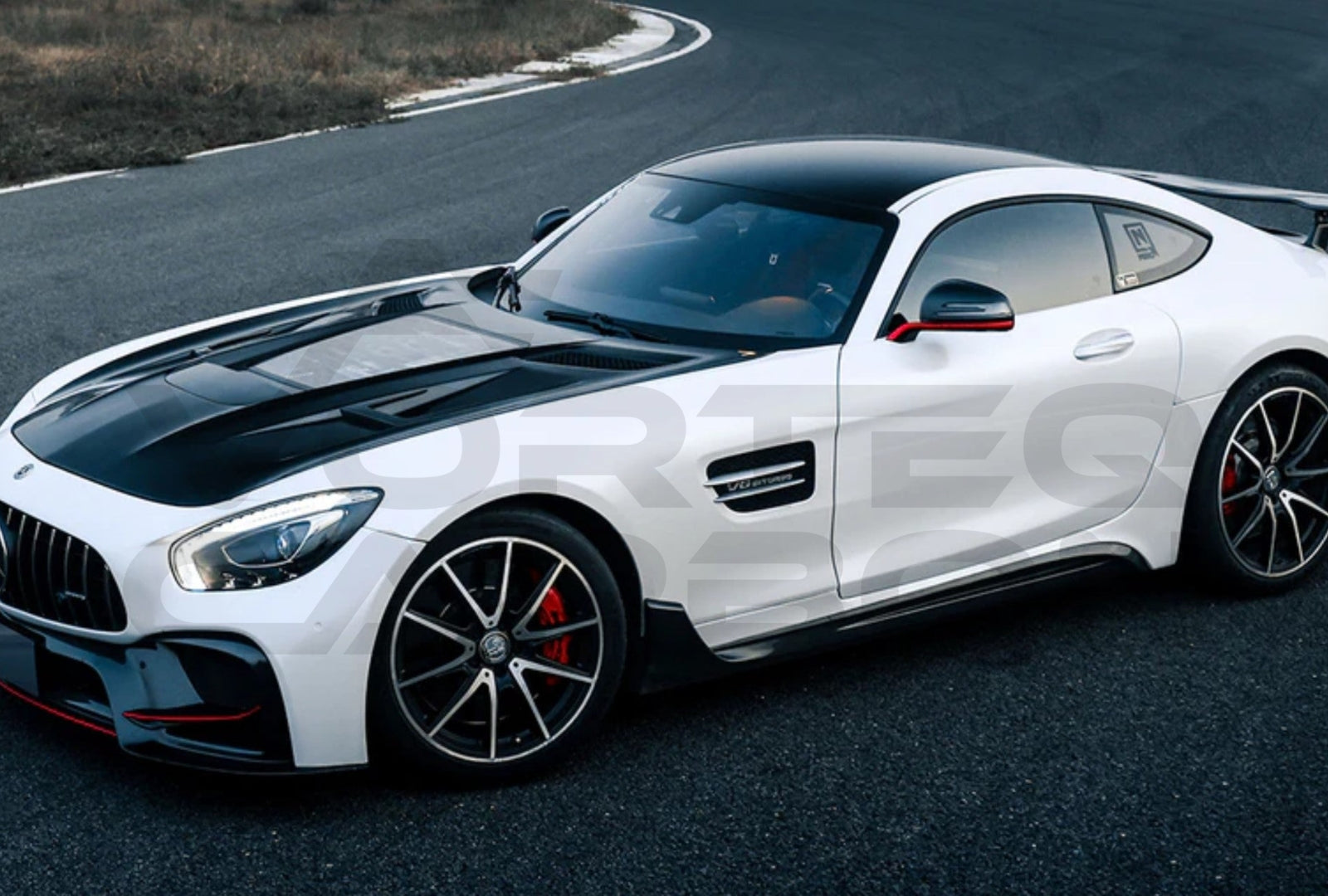 Partial Carbon Fiber Side Skirts (IMP Performance) Mercedes Benz AMG GT GTS (2015 2022).
