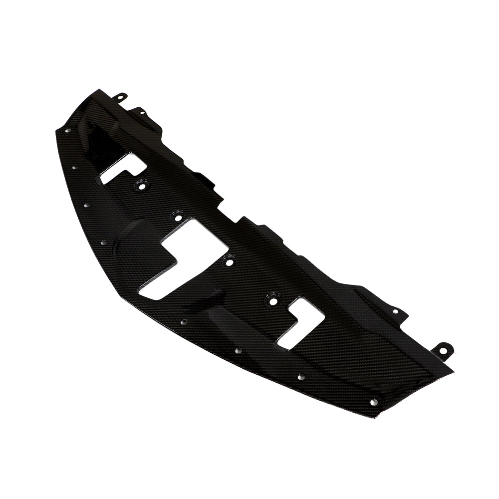 Carbon Fiber Engine Radiator Cover - Nissan Z (RZ34)