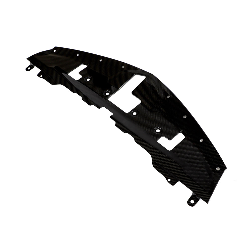 Carbon Fiber Engine Radiator Cover - Nissan Z (RZ34)