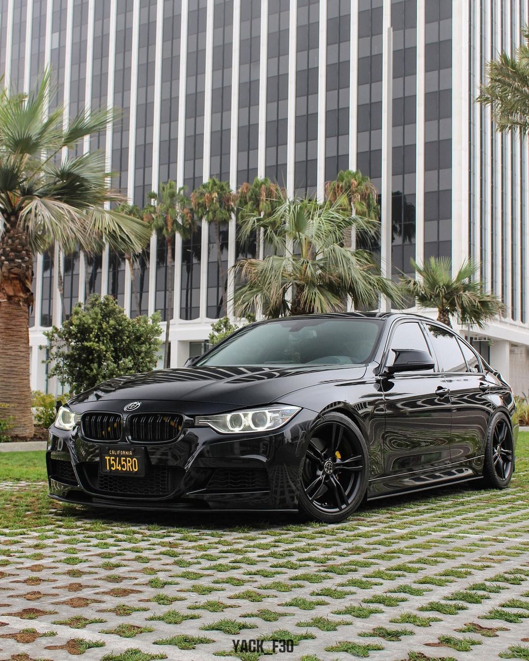Carbon Fiber Front Kidney Grilles (Dual Slat) - BMW F30 F31