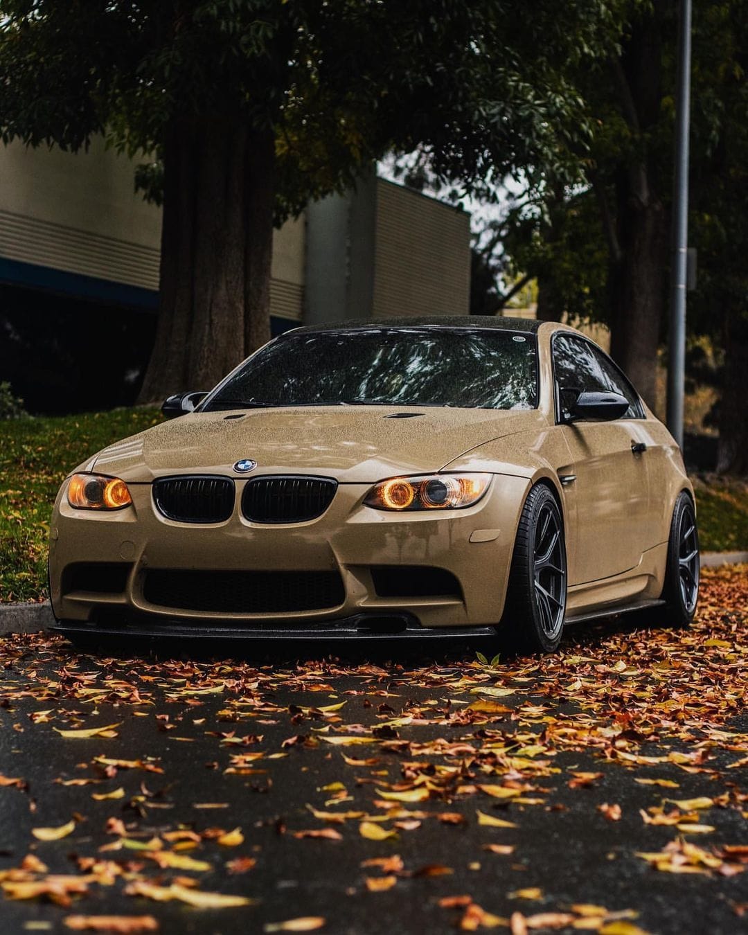 Carbon Fiber Side Skirts - BMW E92 E93 (M3)
