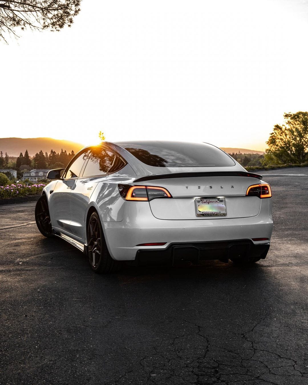 Carbon Fiber Trunk Spoiler V Style - Tesla Model 3