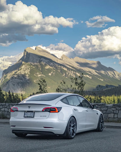 Carbon Fiber Trunk Spoiler OEM Style - Tesla Model 3